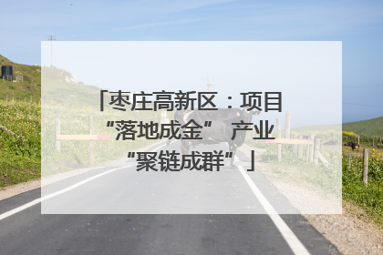 枣庄高新区：项目“落地成金” 产业“聚链成群”