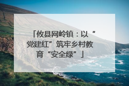 攸县网岭镇：以“党建红”筑牢乡村教育“安全绿”