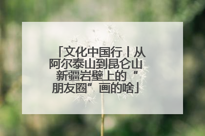 文化中国行丨从阿尔泰山到昆仑山 新疆岩壁上的“朋友圈”画的啥