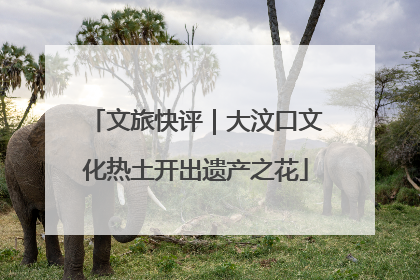 文旅快评｜大汶口文化热土开出遗产之花