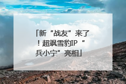 新“战友”来了！超飒雪豹IP“兵小宁”亮相