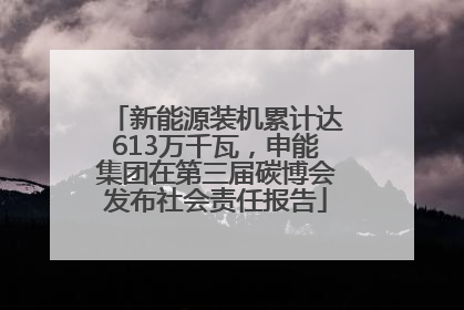 新能源装机累计达613万千瓦，申能集团在第三届碳博会发布社会责任报告