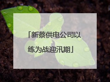 新蔡供电公司以练为战迎汛期