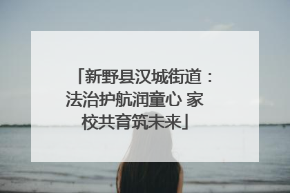 新野县汉城街道：法治护航润童心 家校共育筑未来
