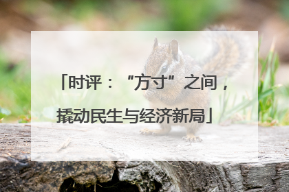 时评：“方寸”之间，撬动民生与经济新局
