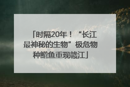 时隔20年！“长江最神秘的生物”极危物种鳤鱼重现赣江