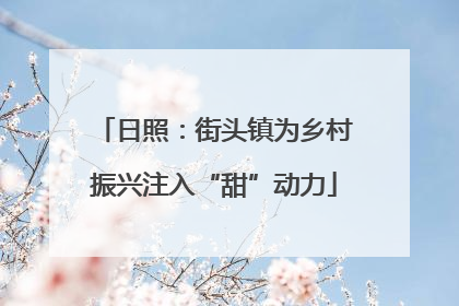 日照：街头镇为乡村振兴注入“甜”动力
