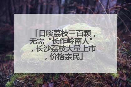 日啖荔枝三百颗，无需“长作岭南人”，长沙荔枝大量上市，价格亲民