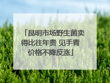昆明市场野生菌卖得比往年贵 见手青价格不降反涨