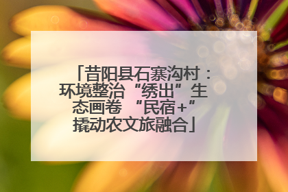 昔阳县石寨沟村：环境整治“绣出”生态画卷 “民宿+”撬动农文旅融合