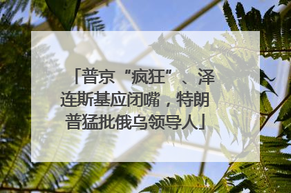 普京“疯狂”、泽连斯基应闭嘴，特朗普猛批俄乌领导人