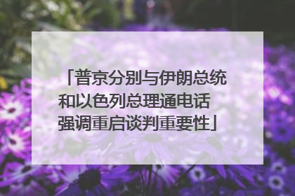 普京分别与伊朗总统和以色列总理通电话 强调重启谈判重要性