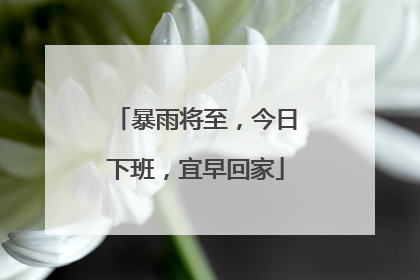 暴雨将至，今日下班，宜早回家