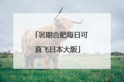 暑期合肥每日可直飞日本大阪