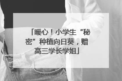 暖心！小学生“秘密”种植向日葵，赠高三学长学姐
