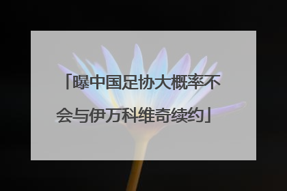 曝中国足协大概率不会与伊万科维奇续约