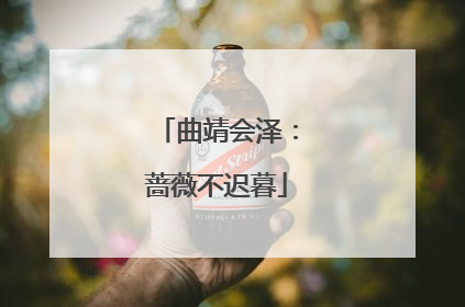 曲靖会泽：蔷薇不迟暮