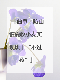曲阜：防山镇夏收小麦实现烘干“不过夜”
