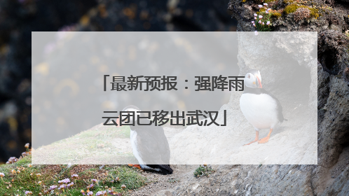 最新预报：强降雨云团已移出武汉