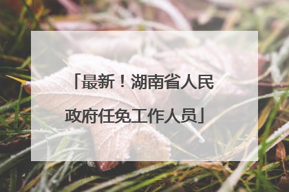 最新！湖南省人民政府任免工作人员