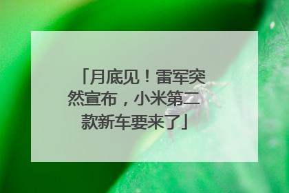 月底见！雷军突然宣布，小米第二款新车要来了