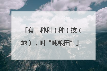 有一种科（种）技（地），叫“吨粮田”