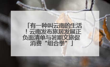 有一种叫云南的生活！云南发布旅居发展正负面清单与暑期文旅促消费“组合拳”