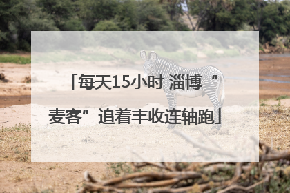 每天15小时 淄博“麦客”追着丰收连轴跑