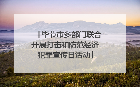 毕节市多部门联合开展打击和防范经济犯罪宣传日活动