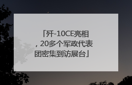 歼-10CE亮相，20多个军政代表团密集到访展台