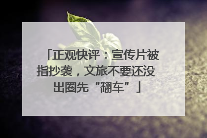 正观快评：宣传片被指抄袭，文旅不要还没出圈先“翻车”