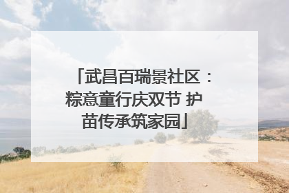 武昌百瑞景社区：粽意童行庆双节 护苗传承筑家园