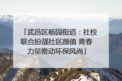 武昌区杨园街道：社校联合扮靓社区颜值 青春力量推动环保风尚