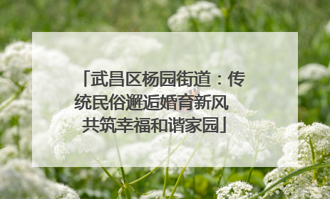 武昌区杨园街道：传统民俗邂逅婚育新风 共筑幸福和谐家园