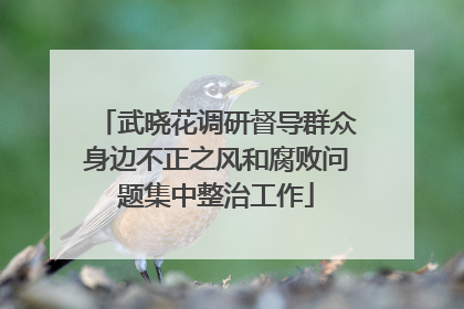武晓花调研督导群众身边不正之风和腐败问题集中整治工作