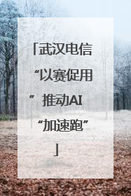 武汉电信“以赛促用”推动AI“加速跑”