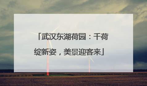 武汉东湖荷园：千荷绽新姿，美景迎客来