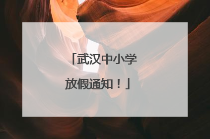 武汉中小学放假通知！