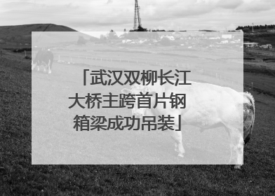 武汉双柳长江大桥主跨首片钢箱梁成功吊装