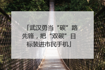 武汉勇当“碳”路先锋，把“双碳”目标装进市民手机
