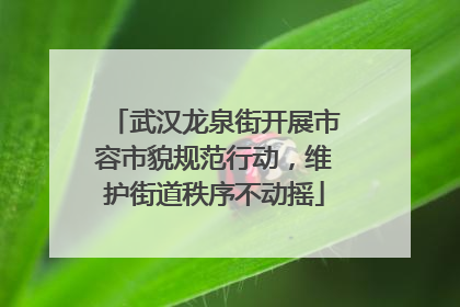 武汉龙泉街开展市容市貌规范行动，维护街道秩序不动摇