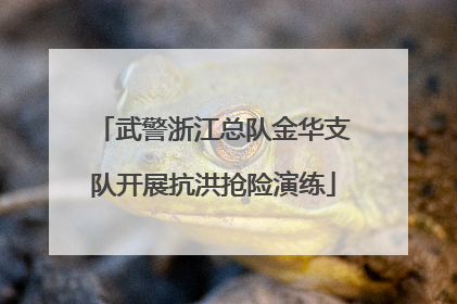 武警浙江总队金华支队开展抗洪抢险演练