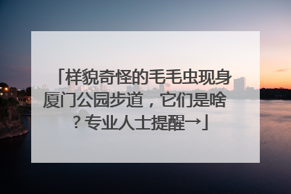 样貌奇怪的毛毛虫现身厦门公园步道，它们是啥？专业人士提醒→