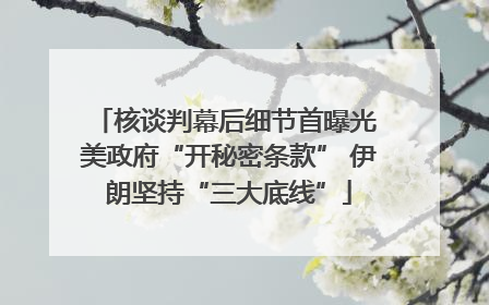 核谈判幕后细节首曝光 美政府“开秘密条款” 伊朗坚持“三大底线”