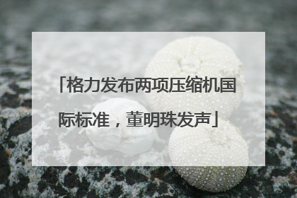 格力发布两项压缩机国际标准，董明珠发声