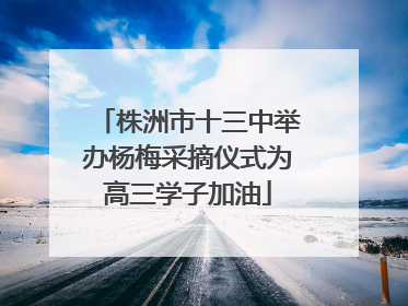 株洲市十三中举办杨梅采摘仪式为高三学子加油