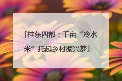 桂东四都：千亩“冷水米”托起乡村振兴梦