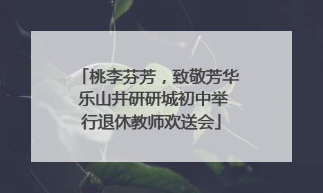 桃李芬芳，致敬芳华 乐山井研研城初中举行退休教师欢送会