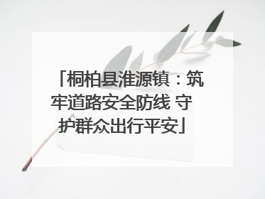 桐柏县淮源镇：筑牢道路安全防线 守护群众出行平安