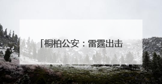 桐柏公安：雷霆出击严查“小广告” 斩断电诈“黑引流”